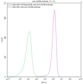 CD79B Antibody