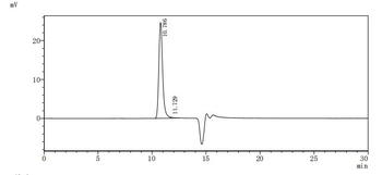 SLC34A2 Antibody