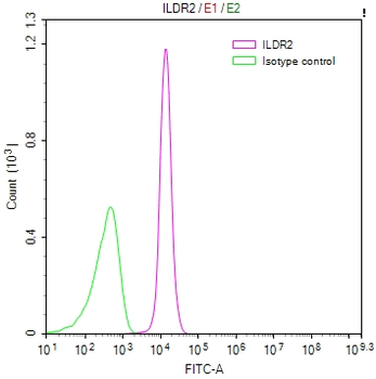 ILDR2 Antibody