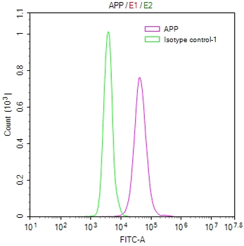 APP Antibody
