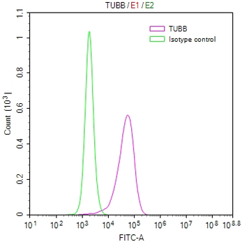 TUBB Antibody