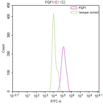 FGF1 Antibody