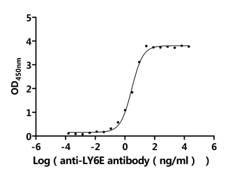 LY6E Antibody