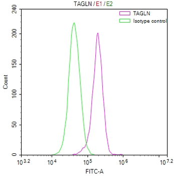 TAGLN Antibody