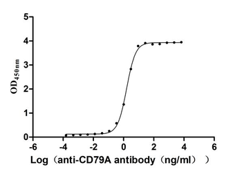 CD79A Antibody