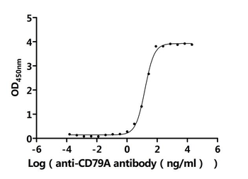 CD79A Antibody