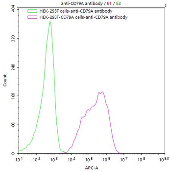 CD79A Antibody
