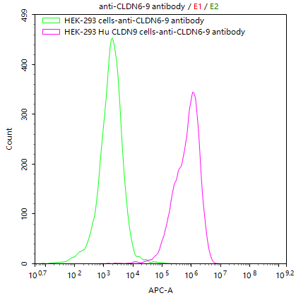 HEK293/Human CLDN9-eGFP Stable Cell Line