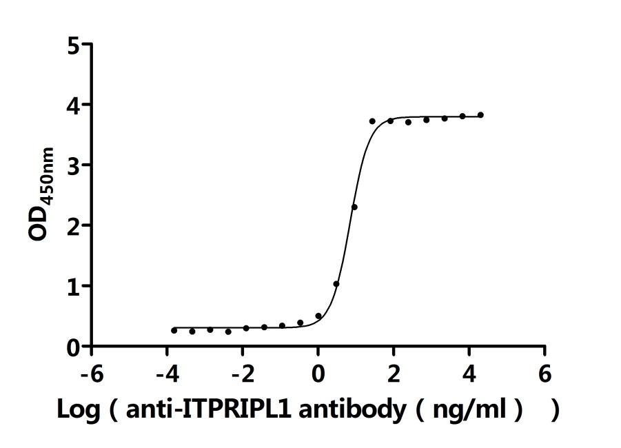 Recombinant Human Inositol 1,4,5-trisphosphate receptor-interacting protein-like 1 (ITPRIPL1), partial (Active)