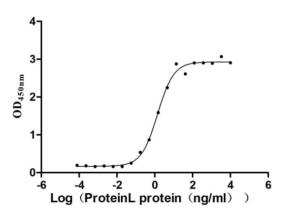 Recombinant Finegoldia magna ATCC 53516 LPXTG-motif cell wall anchor domain protein, partial, Biotinylated