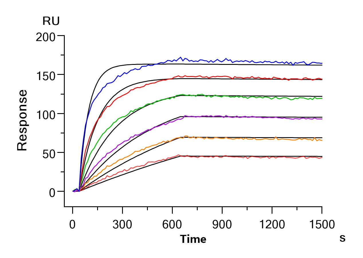 Recombinant Human Claudin-6(CLDN6)-Detergent (Active)