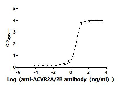 Recombinant Mouse Activin receptor type-2B (Acvr2b), partial