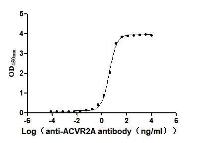 Recombinant Human Activin receptor type-2A (ACVR2A), partial (Active)