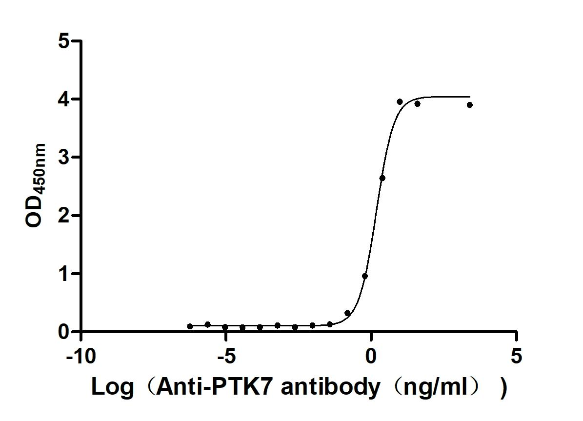 Recombinant Macaca fascicularis Protein tyrosine kinase 7 (PTK7), partial (Active)