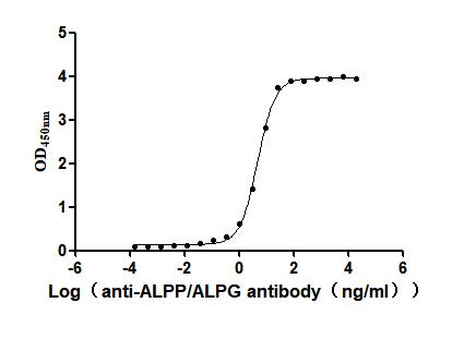 Recombinant Human Alkaline phosphatase, placental type (ALPP) (Active)