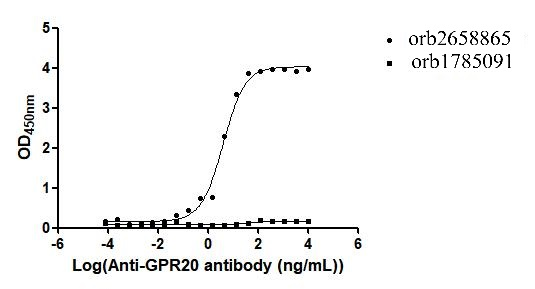 Recombinant Macaca fascicularis G protein-coupled receptor 20 (GPR20)-VLPs (Active)