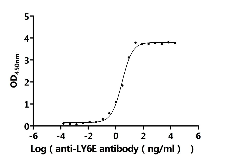 Recombinant Human Lymphocyte antigen 6E (LY6E)