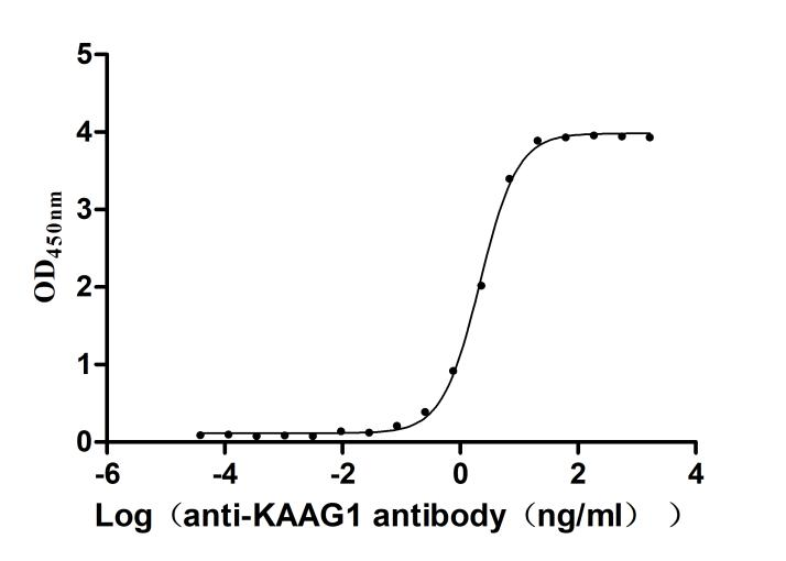 Recombinant Human Kidney-associated antigen 1(KAAG1) (Active)