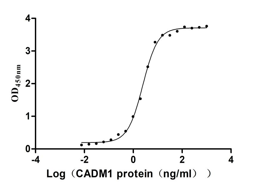 Recombinant Human Cytotoxic and regulatory T-cell molecule (CRTAM), partial (Active)