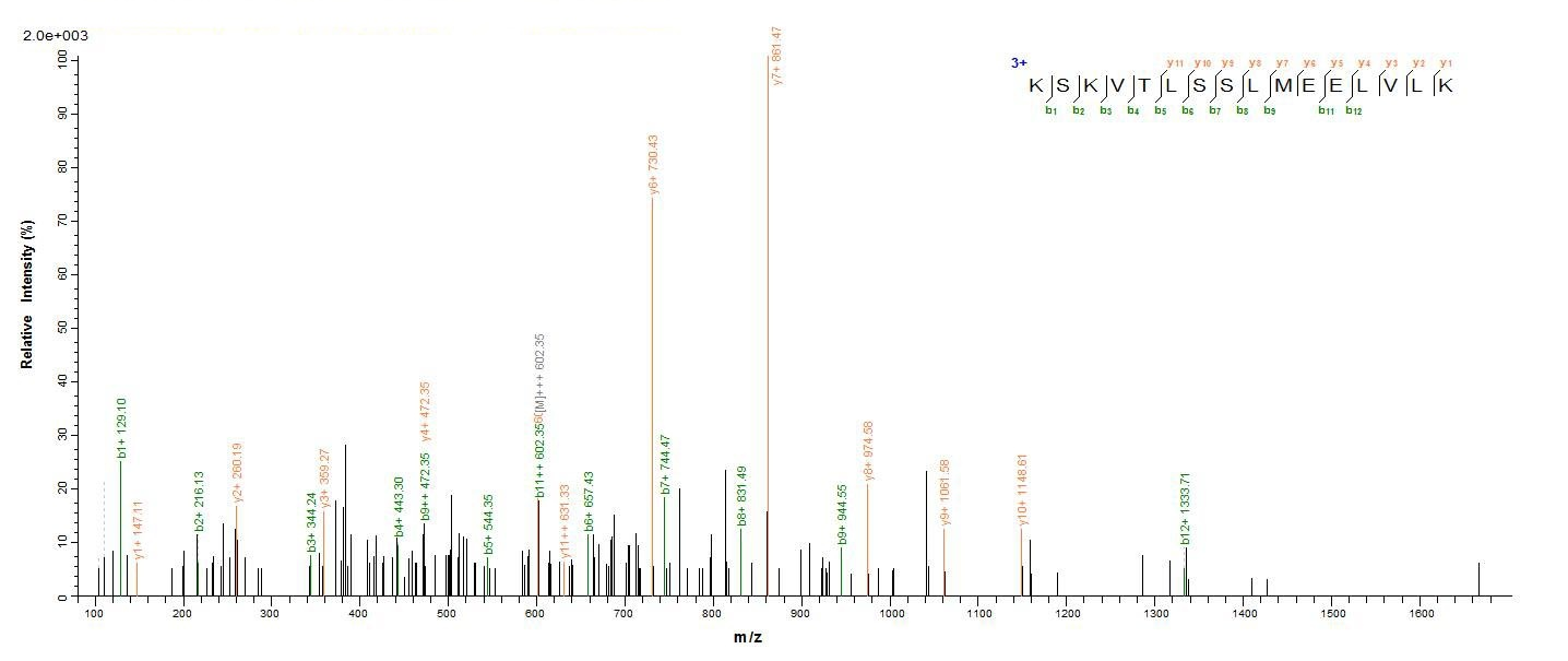 Recombinant Human Titin (TTN), partial