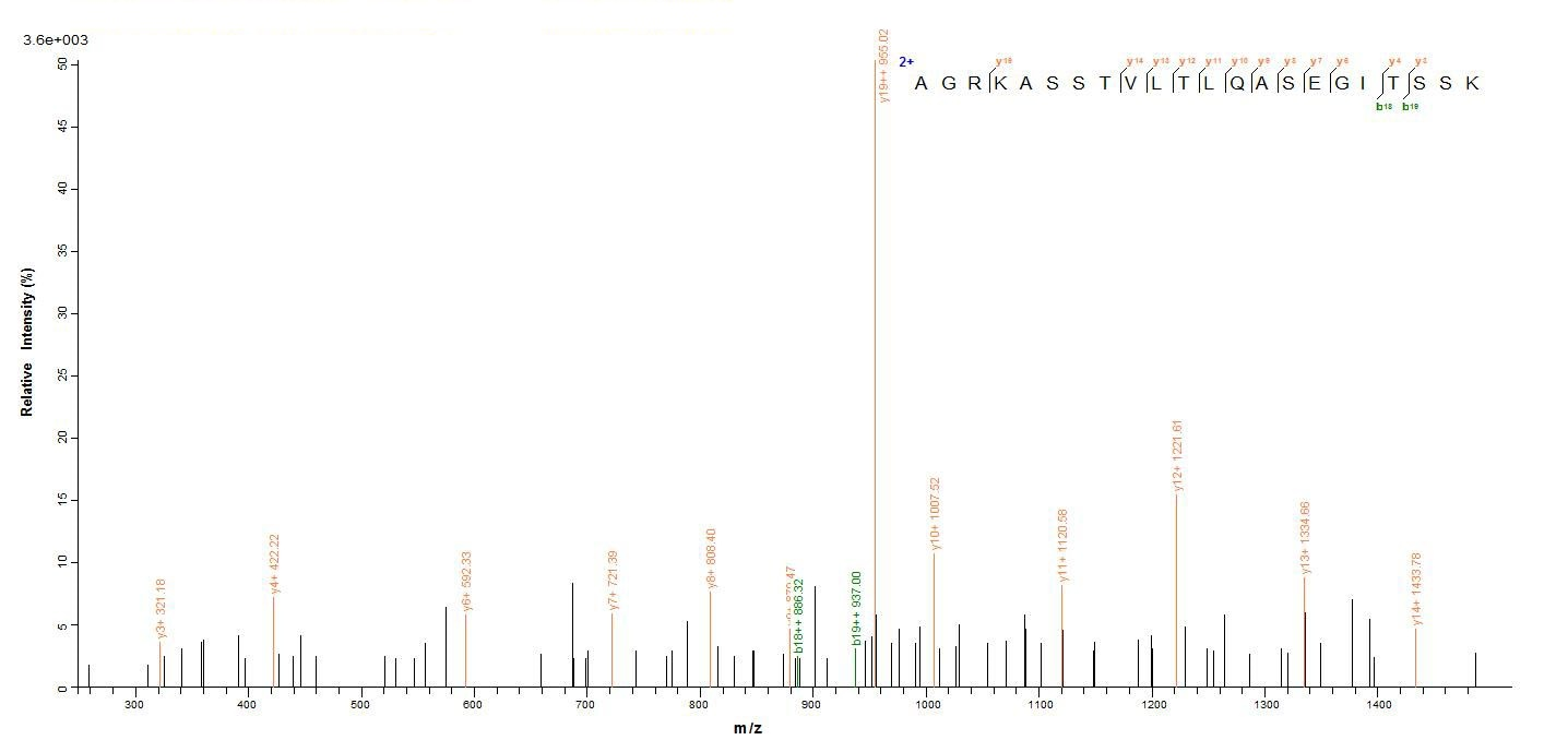 Recombinant Helicobacter pylori Vacuolating cytotoxin autotransporter (vacA), partial