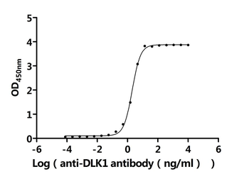 Recombinant Human Protein delta homolog 1 (DLK1), partial (Active)