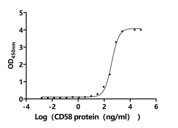 Recombinant Human CD58 protein (CD58), partial, Biotinylated (Active)