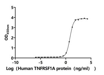 Recombinant Rat Tumor necrosis factor (Tnf), partial (Active)