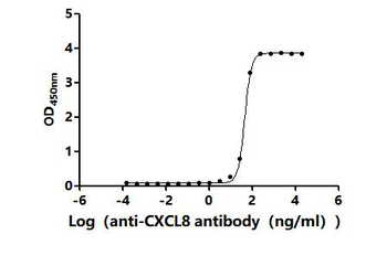Recombinant Human Interleukin-8 (CXCL8), partial (Active)