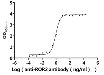 Recombinant Human Tyrosine-protein kinase transmembrane receptor ROR2 (ROR2), partial (Active)