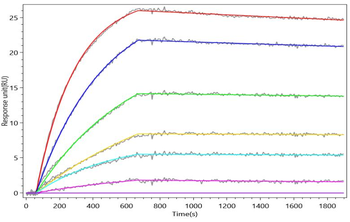 Recombinant Human Tyrosine-protein kinase transmembrane receptor ROR2 (ROR2), partial (Active)