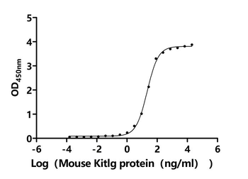 Recombinant Mouse Mast/stem cell growth factor receptor Kit (Kit), partial (Active)