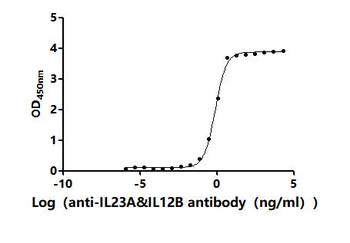 Recombinant Human IL23A&IL12B Heterodimer Protein (Active)