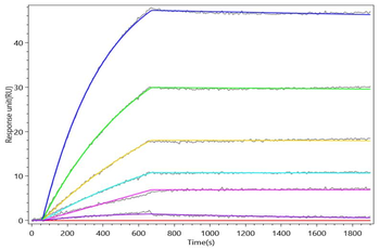 Recombinant Human IL23A&IL12B Heterodimer Protein (Active)