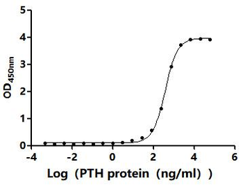 Recombinant Macaca fascicularis Parathyroid hormone (PTH) (Active)