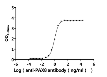 Recombinant Human Paired box protein Pax-8 (PAX8), partial
