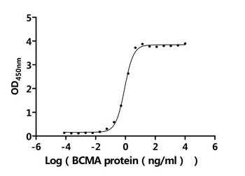 Recombinant Human Tumor necrosis factor ligand superfamily member 13 (TNFSF13) (Active)