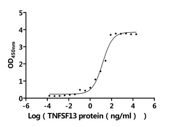 Recombinant Human Tumor necrosis factor ligand superfamily member 13 (TNFSF13) (Active)
