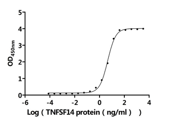 Recombinant Human Tumor necrosis factor receptor superfamily member 3 (LTBR), partial (Active)