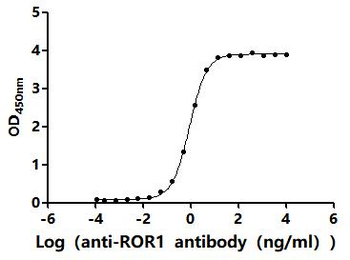Recombinant Mouse Inactive tyrosine-protein kinase transmembrane receptor ROR1 (Ror1), partial (Active)