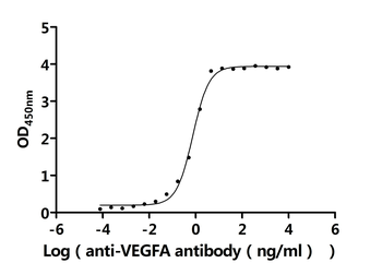 Recombinant Human Vascular endothelial growth factor A, long form (VEGFA) (Active)