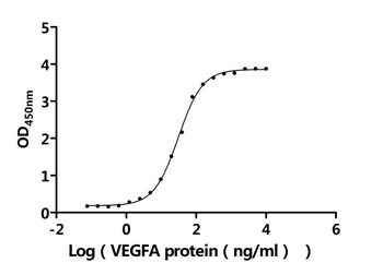 Recombinant Human Vascular endothelial growth factor A, long form (VEGFA) (Active)