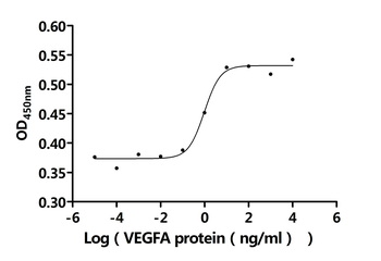 Recombinant Human Vascular endothelial growth factor A, long form (VEGFA) (Active)