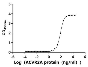 Recombinant Human Inhibin beta A chain (INHBA) (Active)
