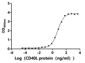 Recombinant Mouse CD40 ligand (Cd40lg), partial (Active)