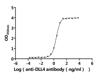 Recombinant Human Delta-like protein 4 (DLL4), partial (Active)