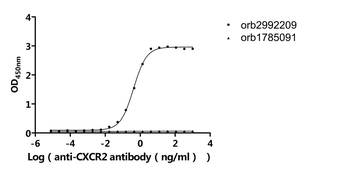 Recombinant Human C-X-C chemokine receptor type 2 (CXCR2)-VLPs