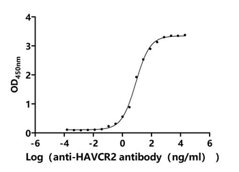 Recombinant Human Hepatitis A virus cellular receptor 2 (HAVCR2), partial