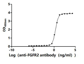 Recombinant Human Fibroblast growth factor receptor 2(FGFR2), partial