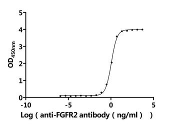 Recombinant Human Fibroblast growth factor receptor 2(FGFR2), partial